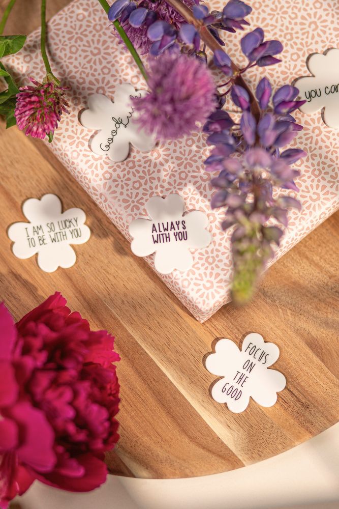 Blume, Pflanze, Rose, Blütenblatt
