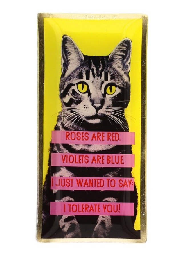 Tier, Katze, Säugetier, Haustier