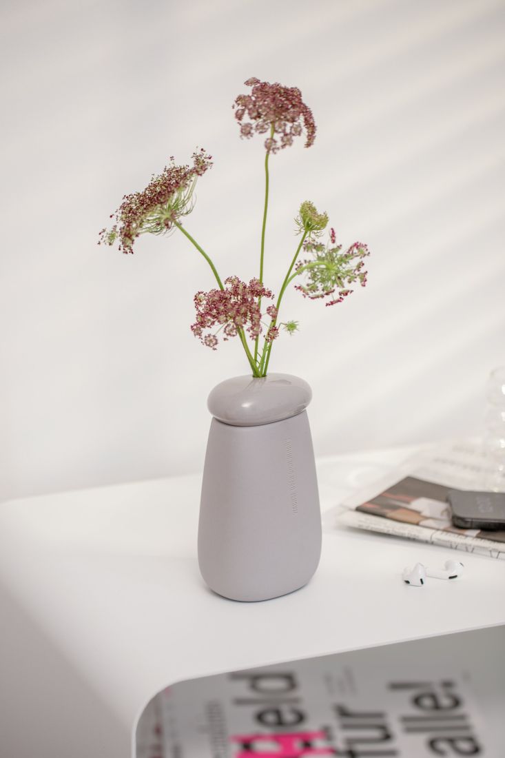 Pflanze, Pflanze im Topf, Krug, Töpferei, Vase