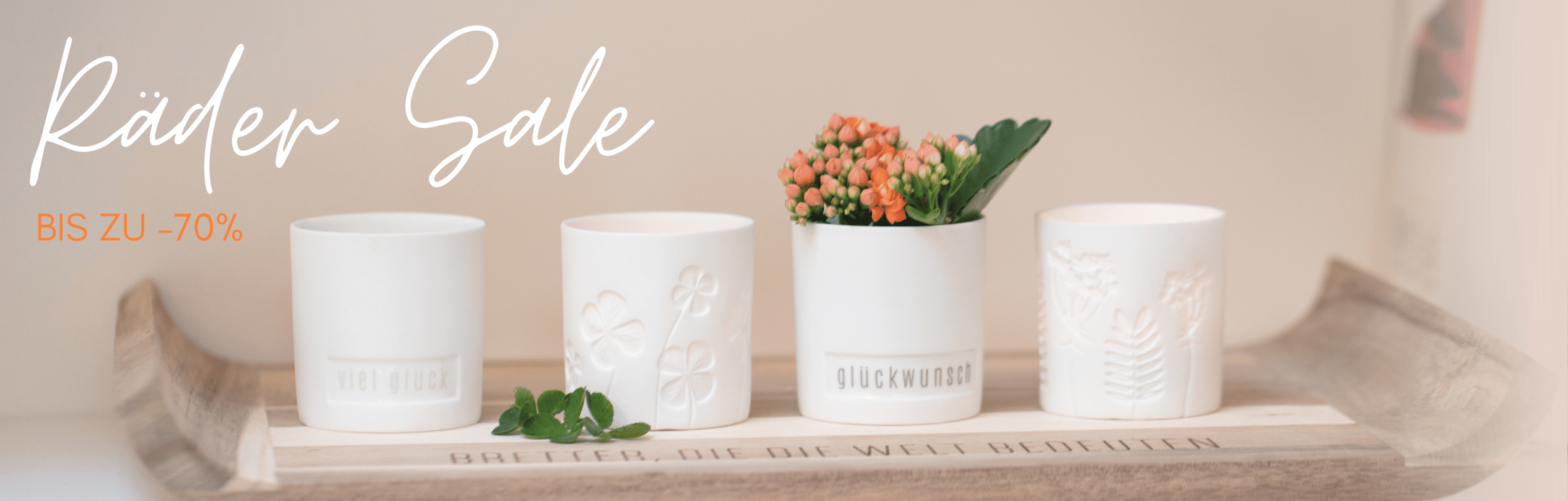 keramiktopf, pflanzentopf, weiße pfanne, dekorative tasse, blumenkübel, wohnkultur