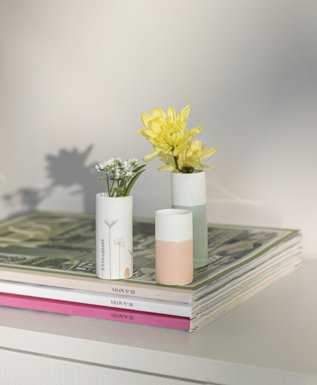 Pflanze, Pflanze im Topf, Mobiliar, Tabelle