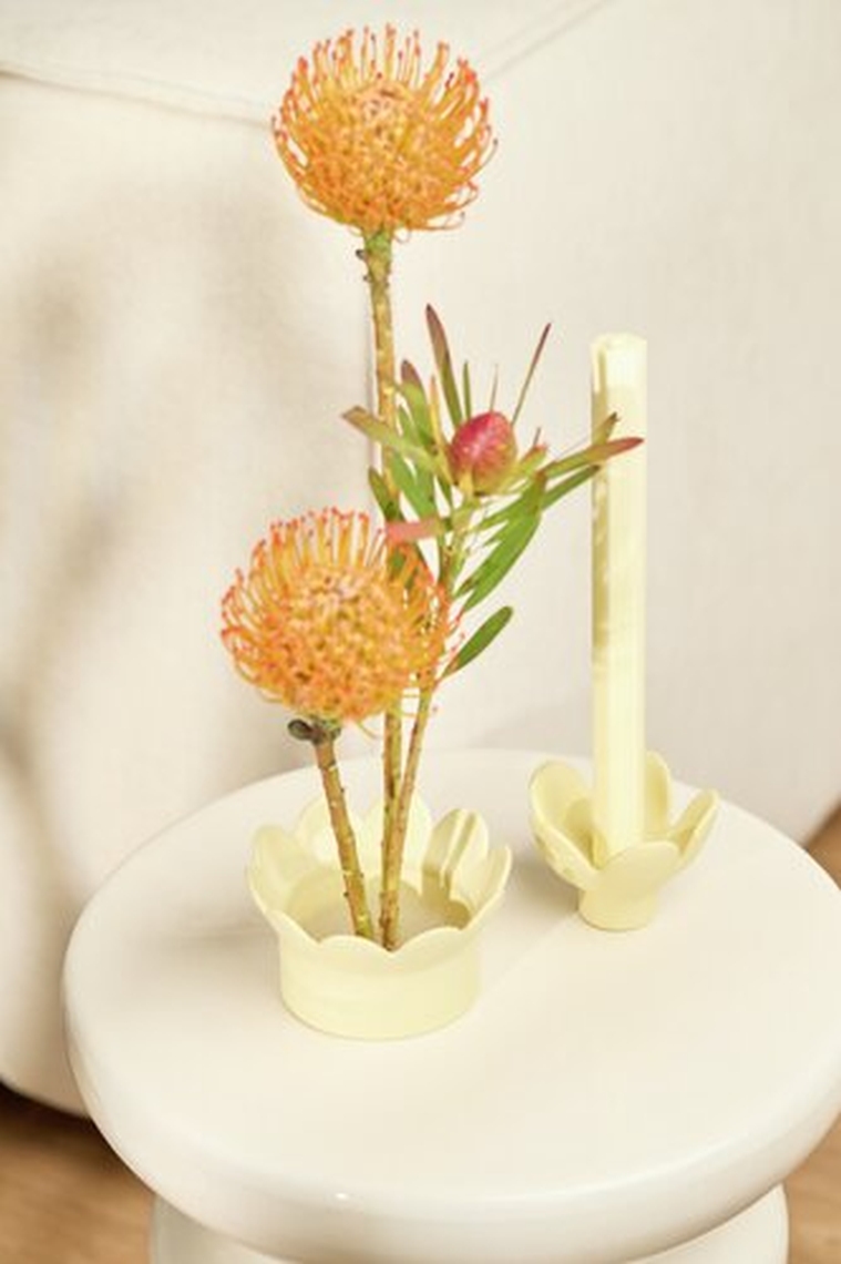 Blume, Blumen-Arrangement, Pflanze, Ikebana, Blütenblatt