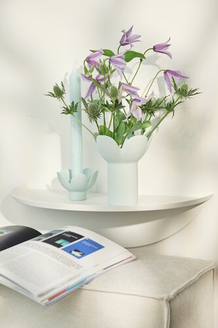 Pflanze, Pflanze im Topf, Blumen-Arrangement, Buch, Töpferei