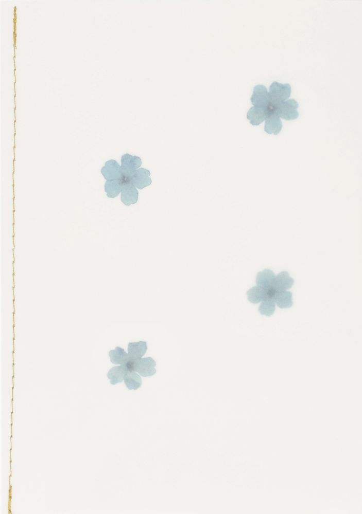 Genähte Transparentpapierkarte "Blüten" Natur, Draußen