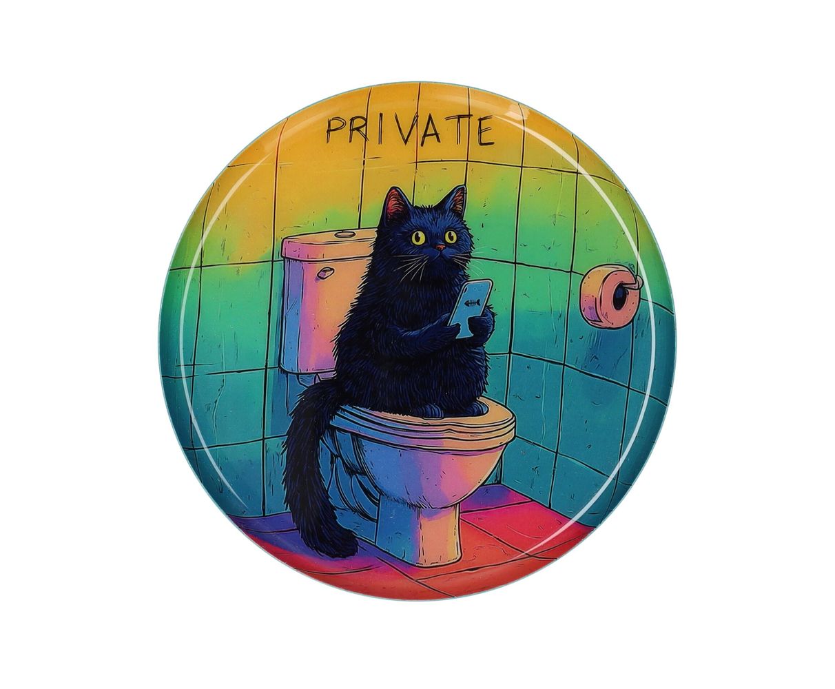 Katze, Säugetier, Haustier, Handy, Telefon