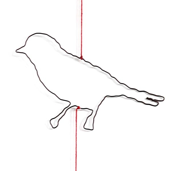 gal_gr_be11051_g_595620 vogel