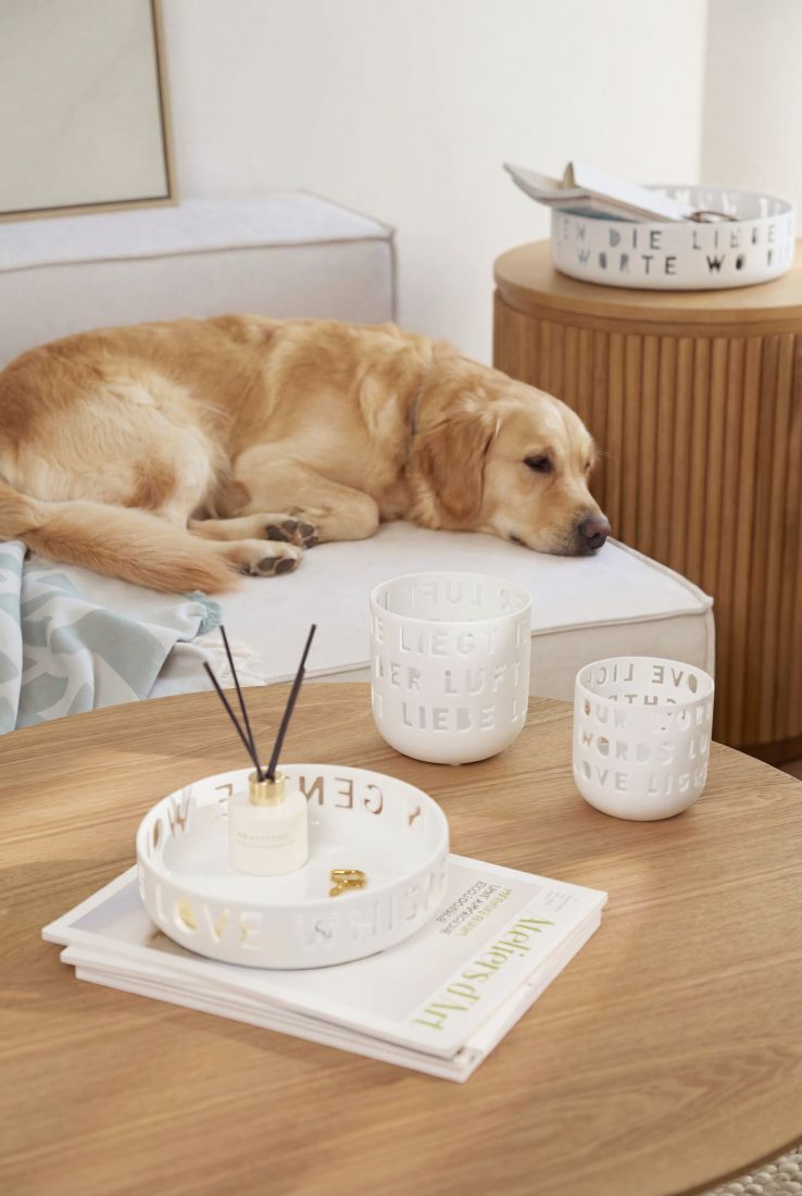 Hund, golden retriever, Wohnzimmer, Keramikdeko, Dekoration Table