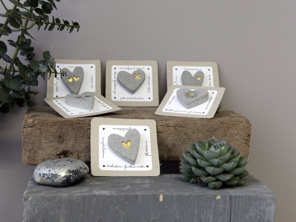 Pflanze, Pflanze im Topf