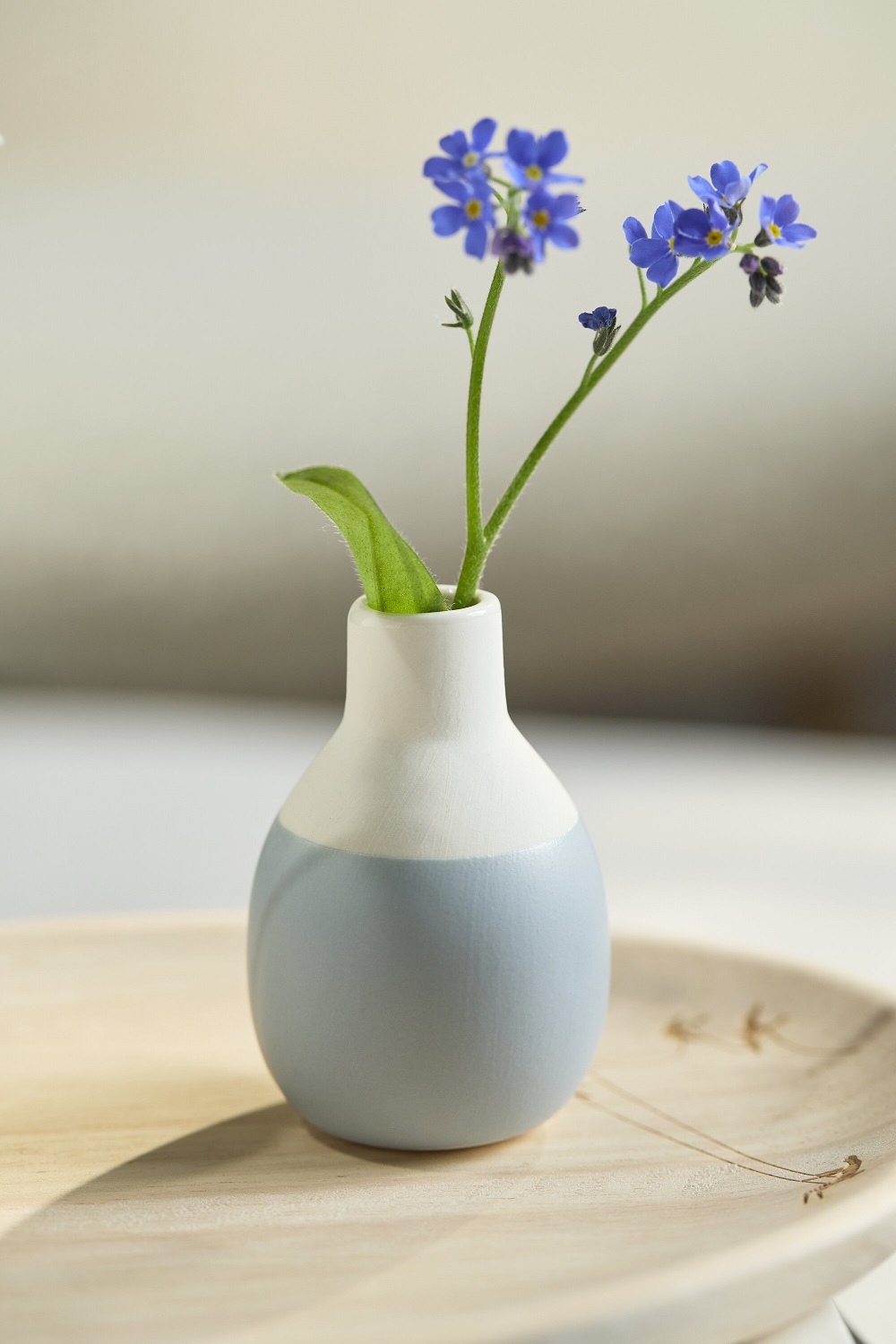 Blumen, Vase, Keramikvase, Blau, Dekor