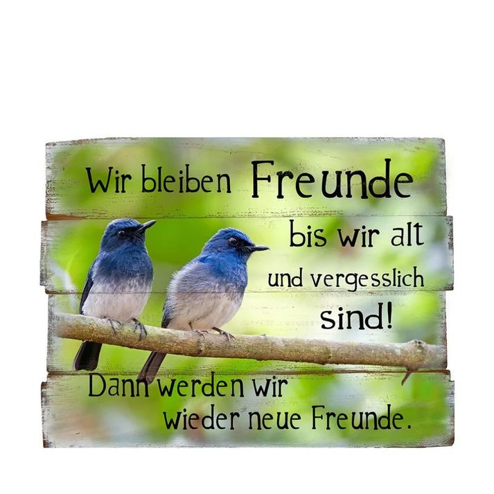 Wandbild 40x30 cm mit dem Spruch Wir bleiben Freunde bis wir alt und vergesslich sind mit Kordel zur Aufhängung