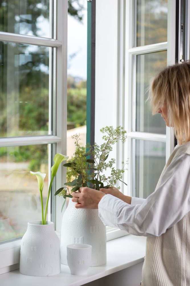 Fenster, Fensterbank, Pflanze, Person