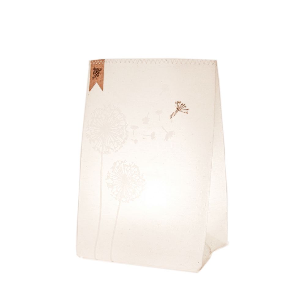 Lampe, Lampenschirm
