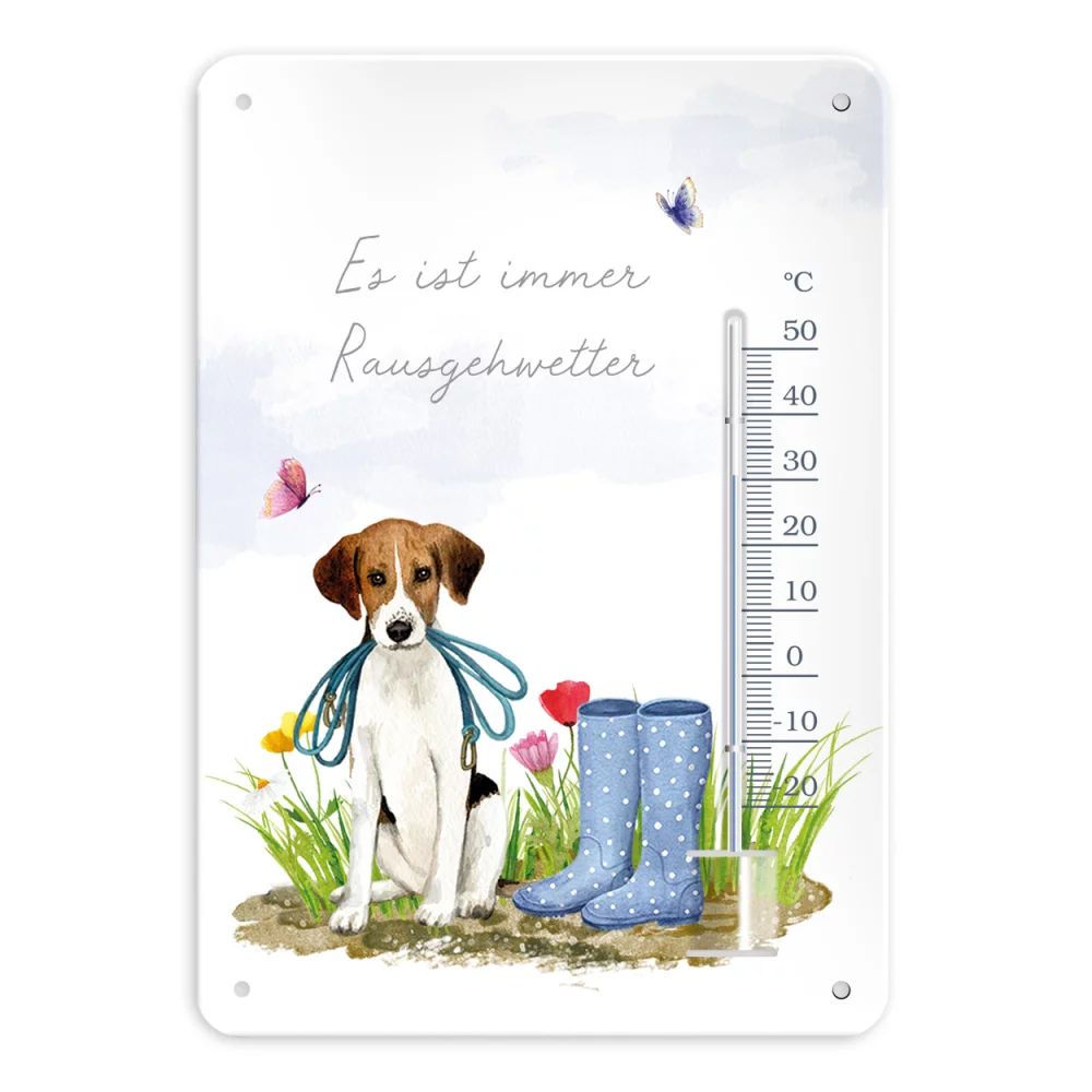 Hund, Haustier, Schuhwerk, Schuh