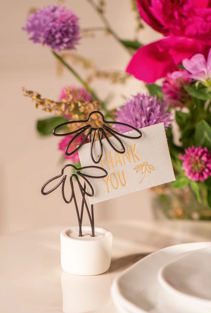 Blume, Pflanze, Blumen-Arrangement, Blütenblatt
