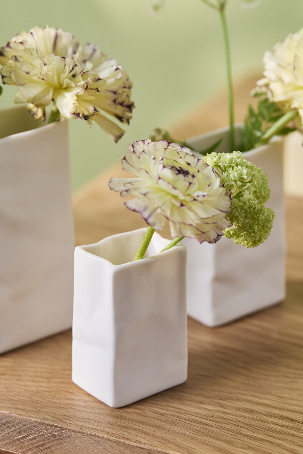 Blumen, Vasen, Blüten, Terrakotta-weiß, Dekoration
