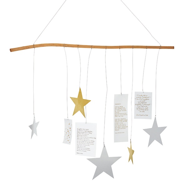 gross_89613_sternenzweig_weihnachstdeko-shop_1_9790921zbodnaiUJoov Sternenzweig