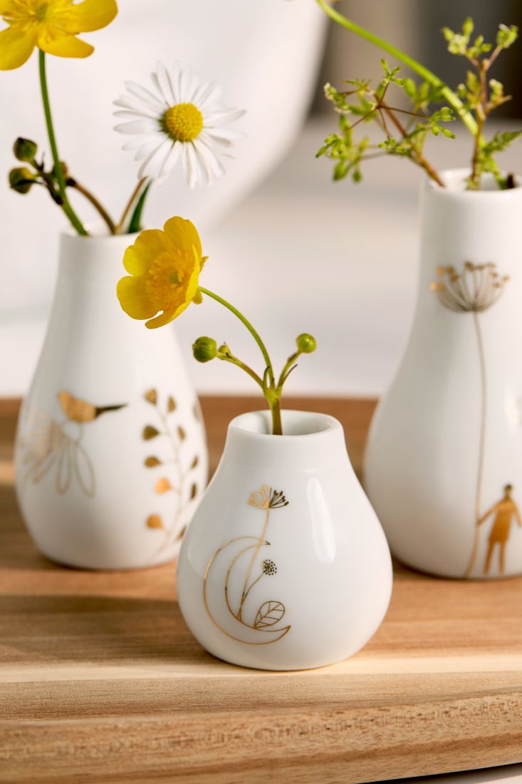 vase, Porzellan, Blumenarrangement, Keramik, Dekoration