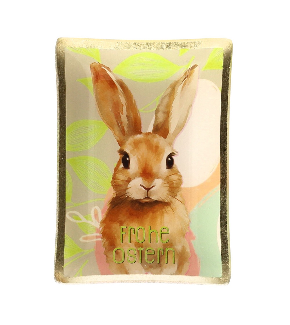 Tier, Hase, Säugetier, Nagetier