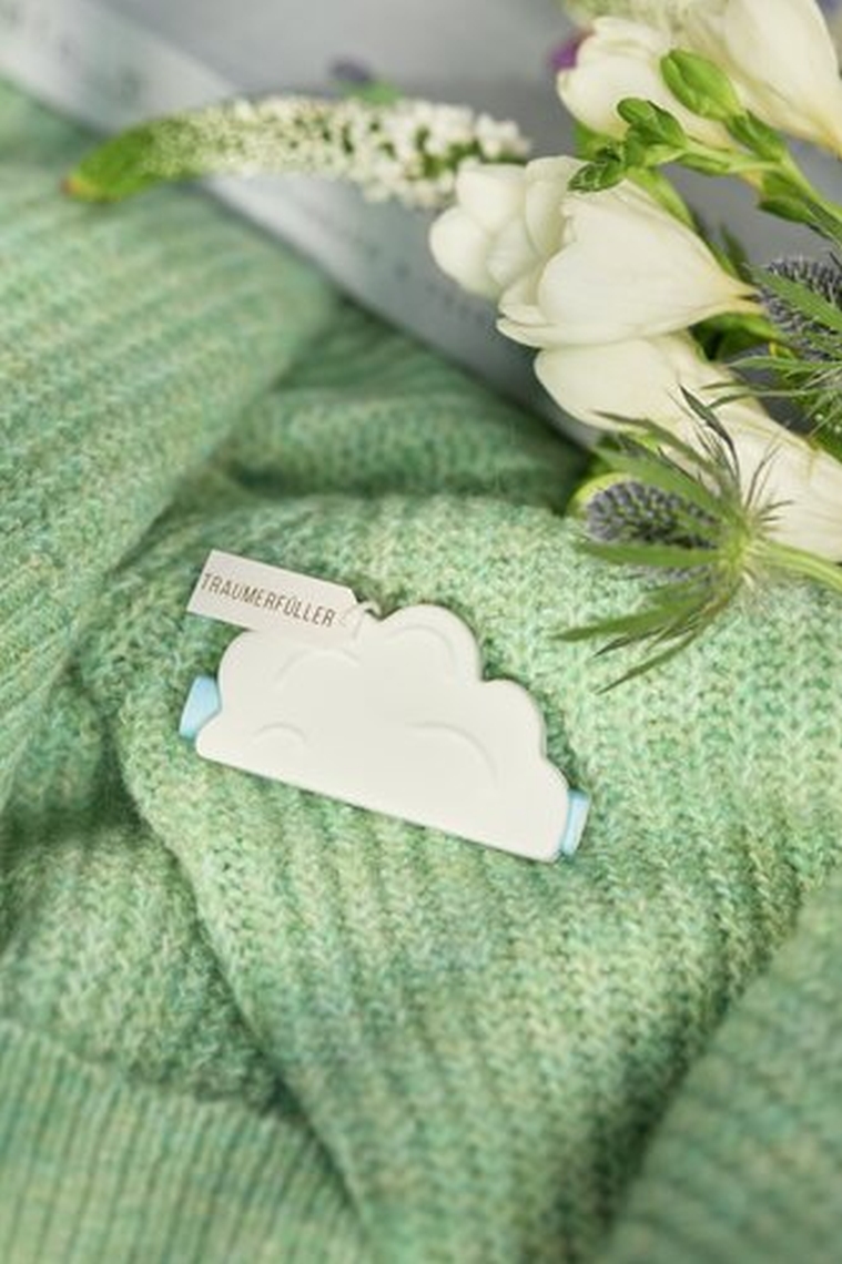 Blume, Blütenblatt, Pflanze