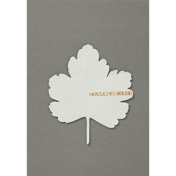 gross_62769_blaetter-trauerkarte_raeder-design_878841vsDWeJckTgPkL Blätter Trauerkarte "Herzliches Beileid"