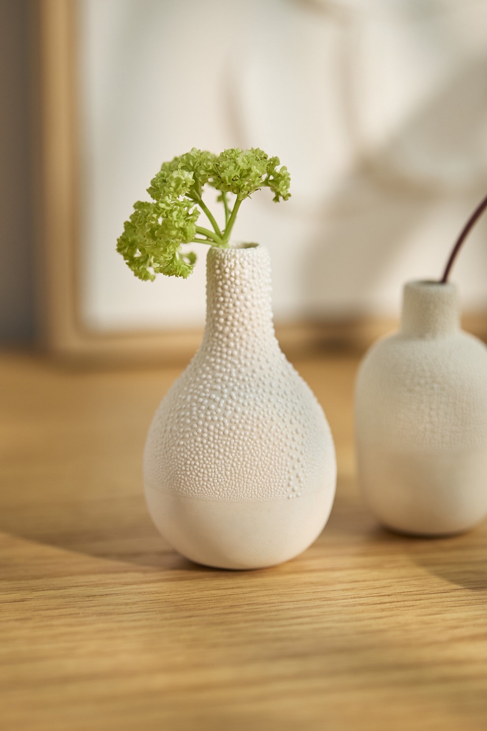 Vase, Porzellan, Textur, Grünpflanze, Deko
