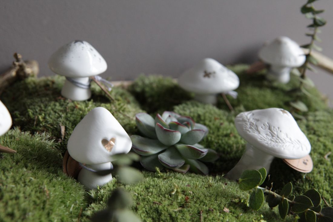 Fungus, Pflanze, Agaric, Pilz