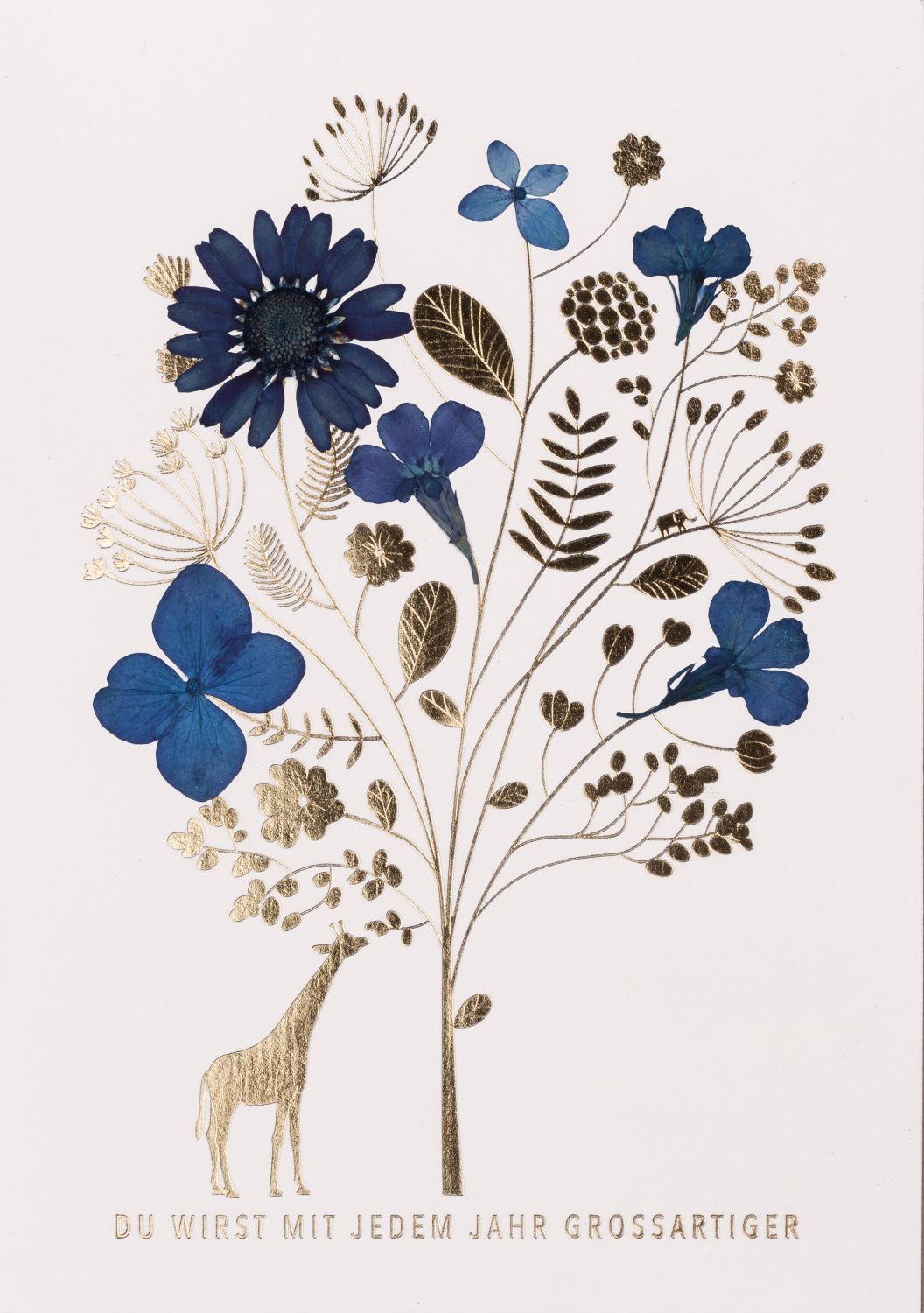 71045_result Glücksblumen Karte "Du wirst mit jedem Jahr großartiger"