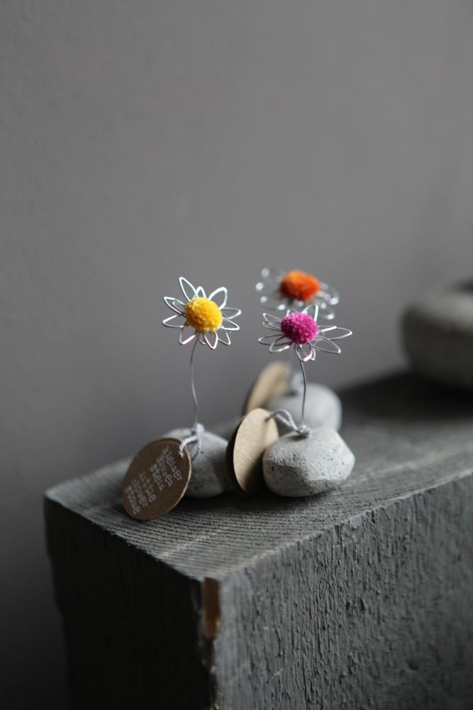 Gänseblümchen, Blume, Pflanze, Blütenblatt