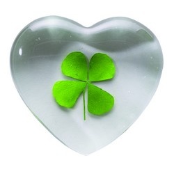 detail_5754_kleegross kleeblatt