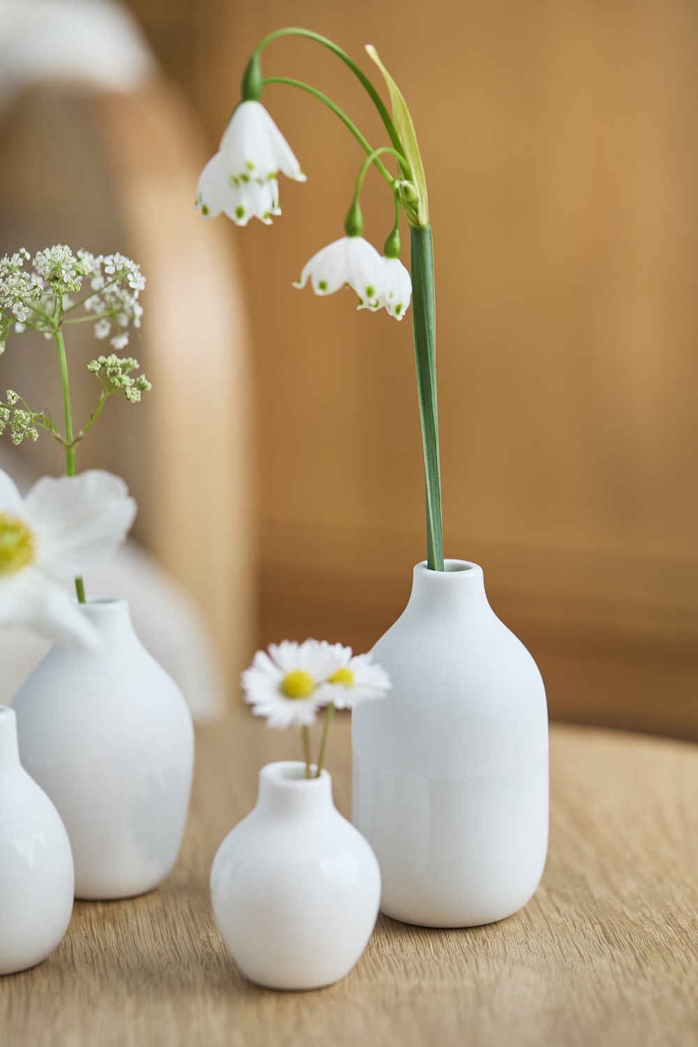 vase, weiße vase, blumenarrangement, Gänseblümchen, minimalistischer dekoration