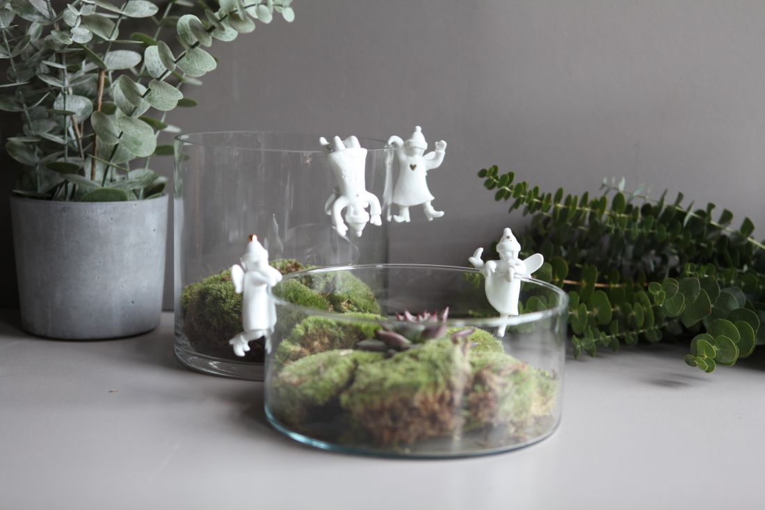 Terrarium, Moos, Glas, Miniatur, Pflanzen