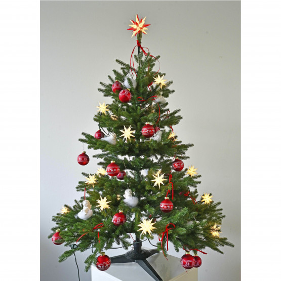 Pflanze, Baum, Weihnachtsdekorationen, Festival, Weihnachtsbaum