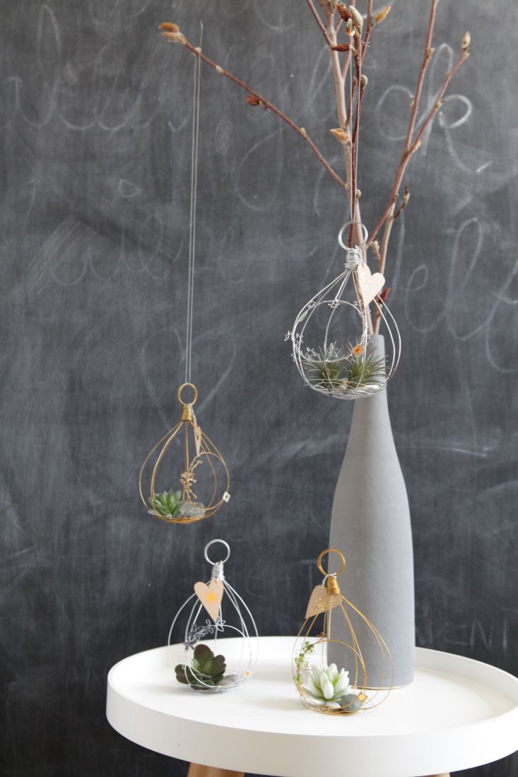 Hänge- Terrarium, Luftpflanze, Kugel-Gestell, Drahtkäfig, Sukkulent