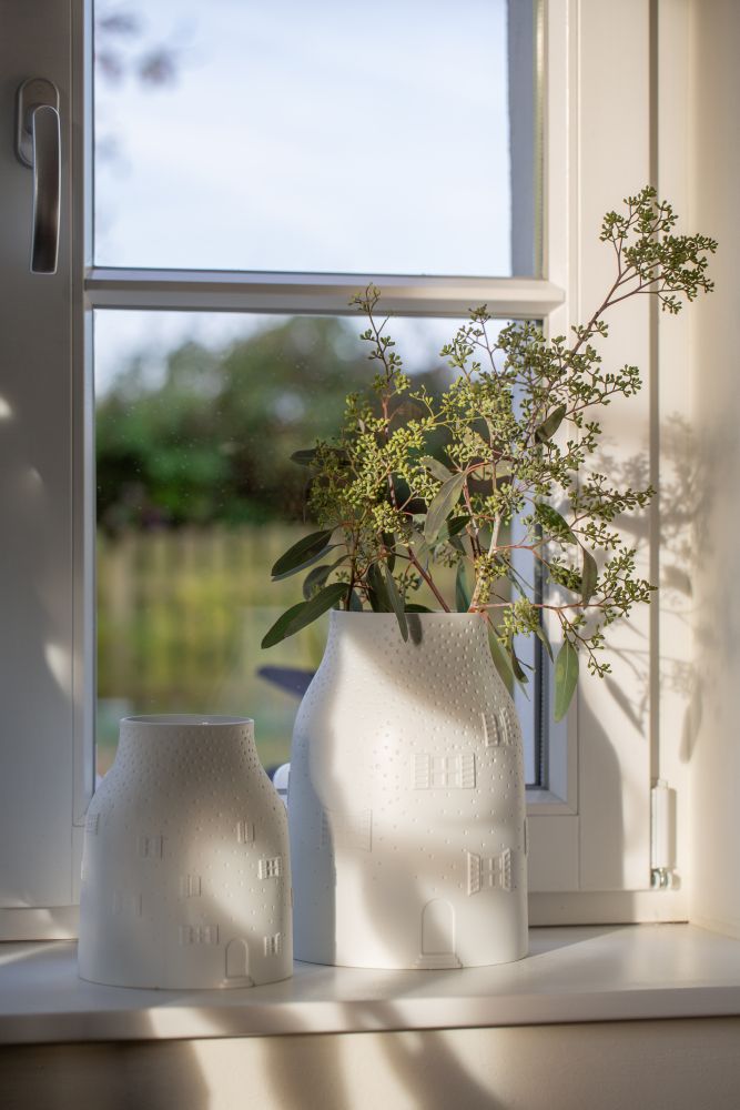 Fenster, Fensterbank, Pflanze