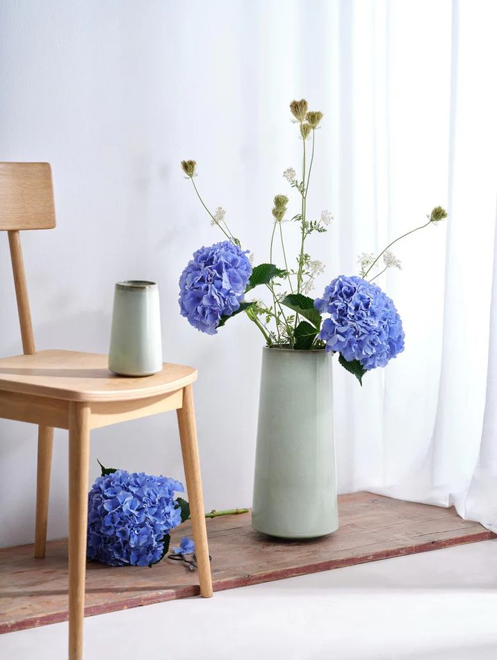 Pflanze, Blume, Blumen-Arrangement, Lampe, Topfpflanze