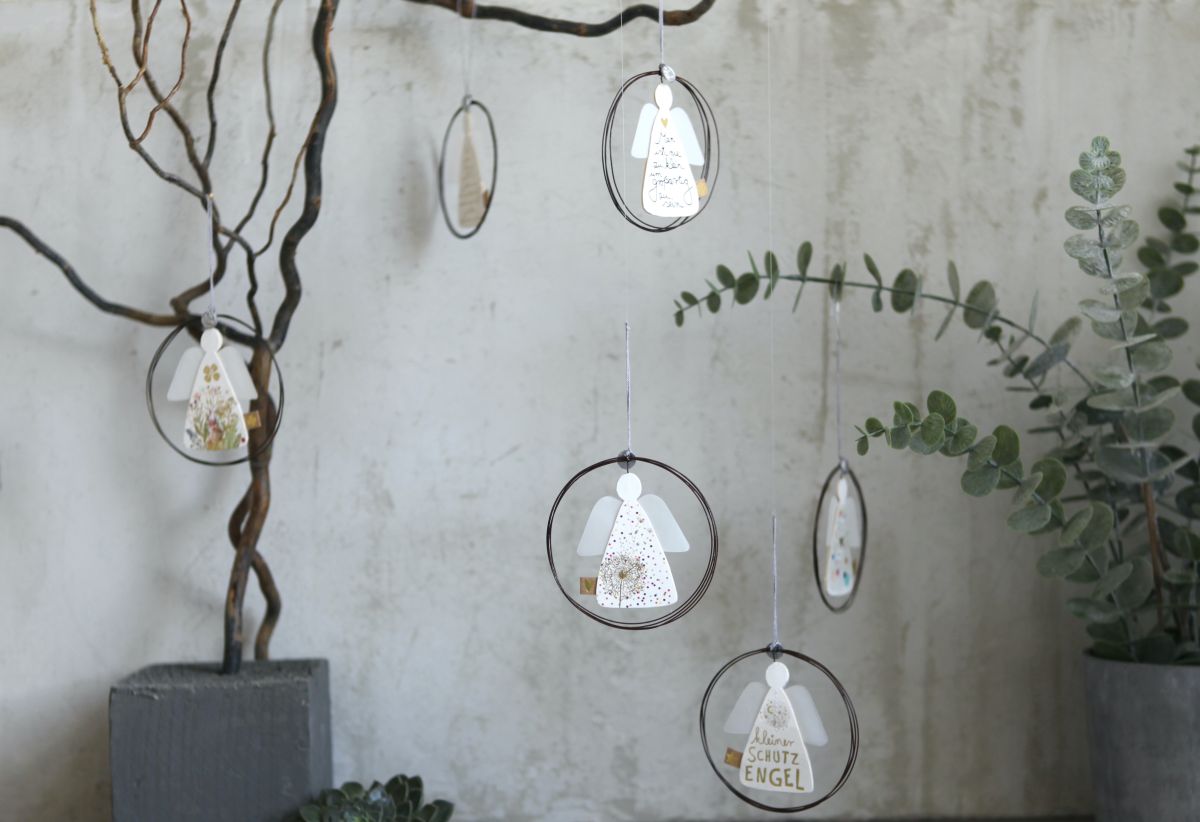 Pflanze, Pflanze im Topf, Kunst, Kunsthandwerk, Mauer