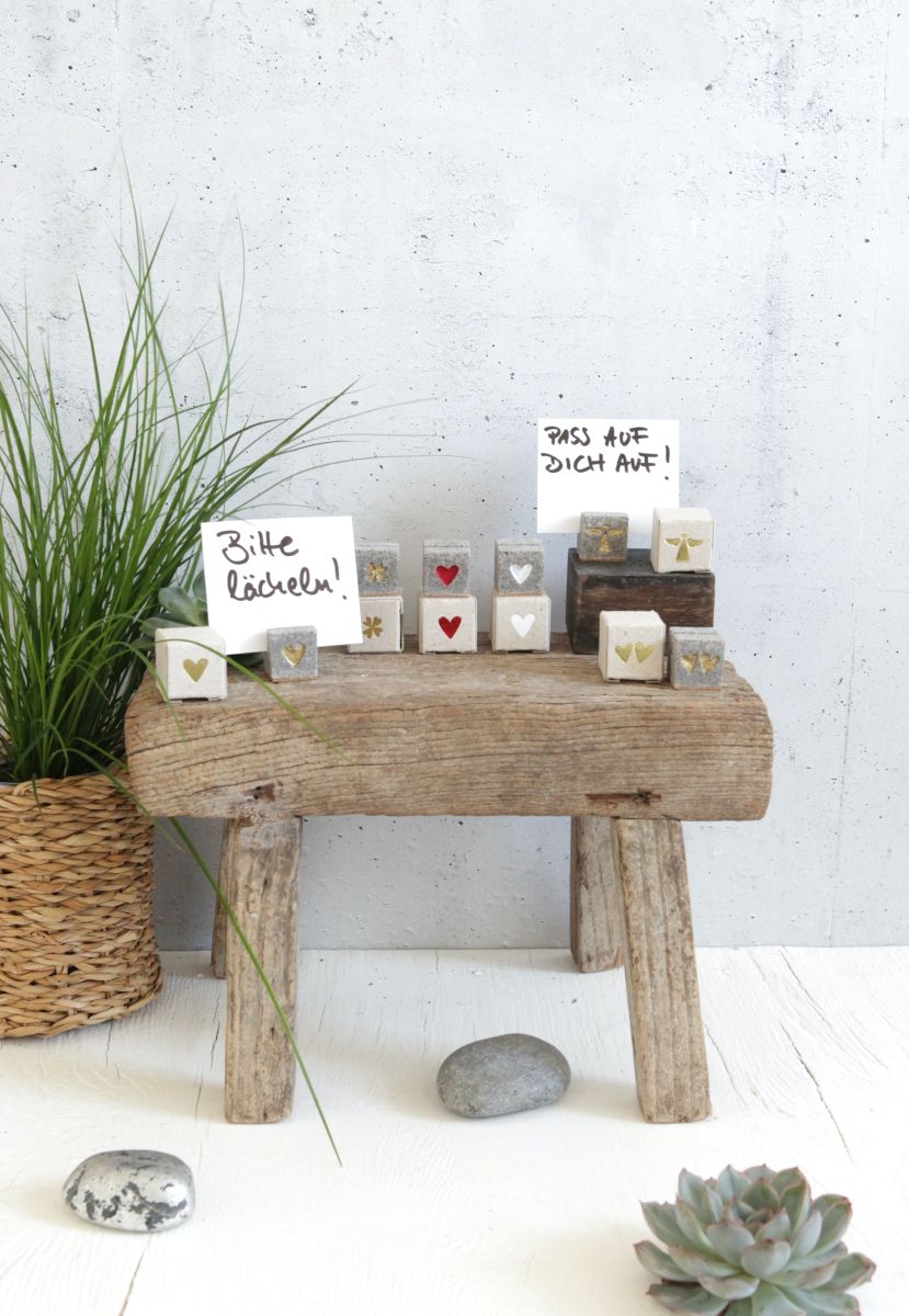 Pflanze, Pflanze im Topf, Pflanzgefäß, Tabelle, Kaffeetisch