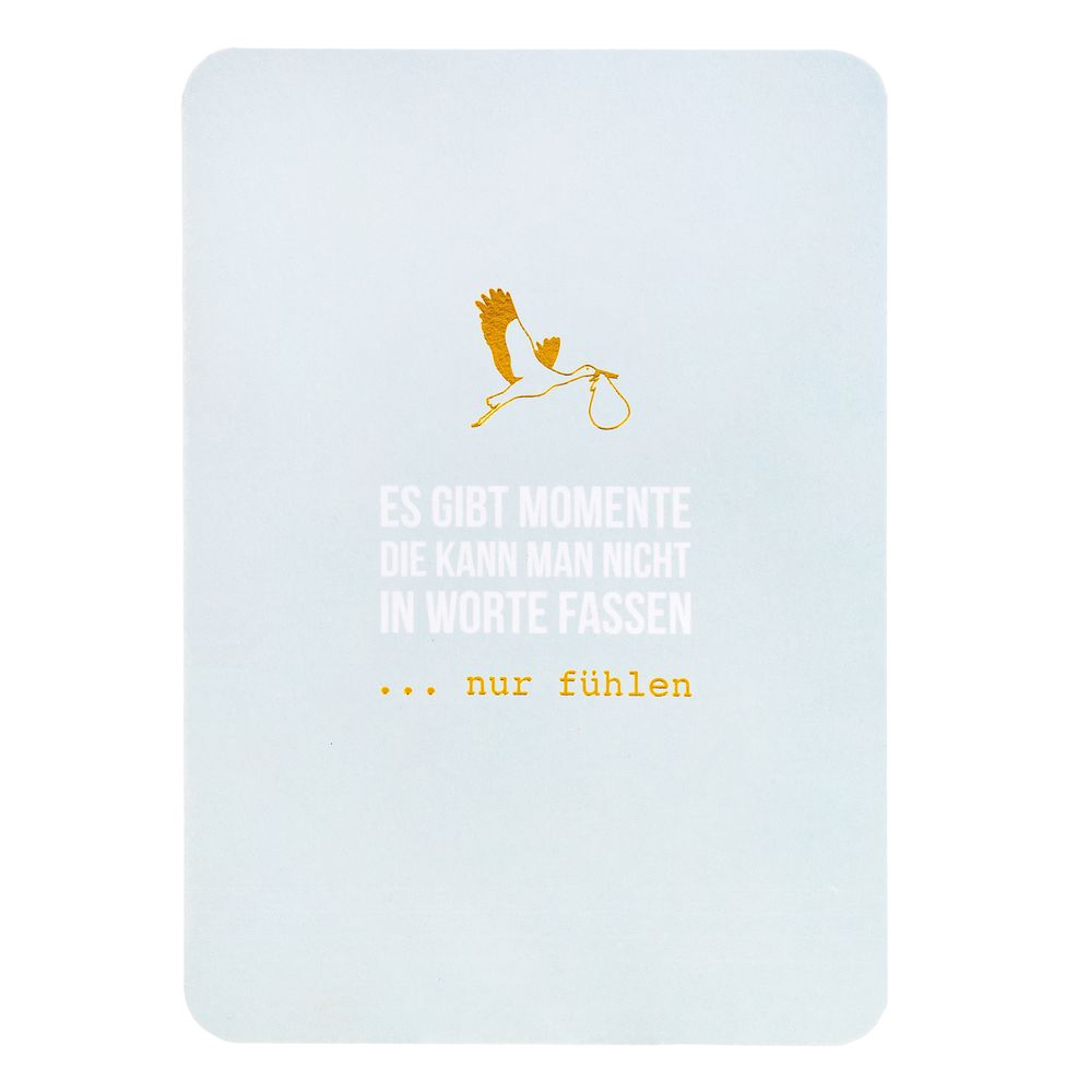 Tier, Vogel