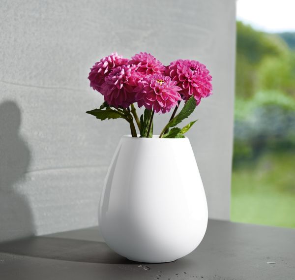 Ease-22NwVwjlaO2ANg_600x600 vase
