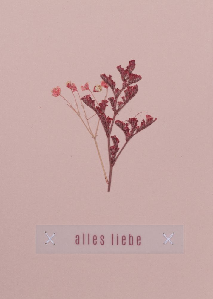 f_0063279_result_1 Blumengruß Glückwunschkarte "Alles Liebe"