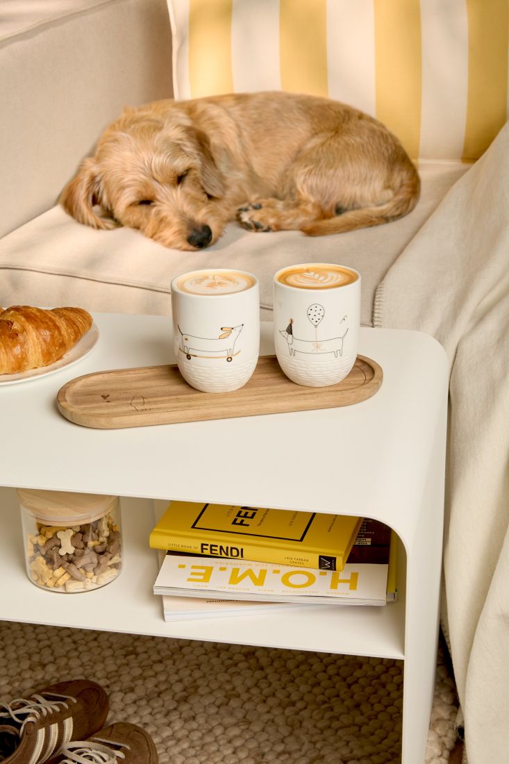 Hund, Kaffeebecher, Milchkaffee, Sofa, Croissant