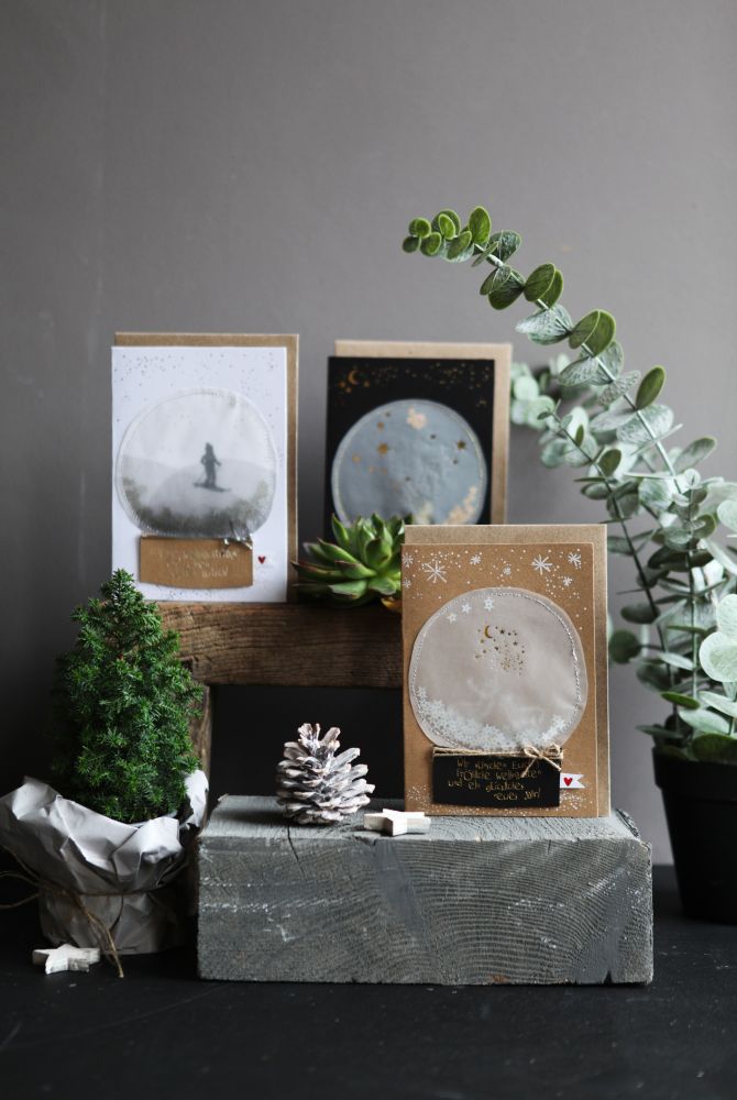 Pflanze, Pflanze im Topf