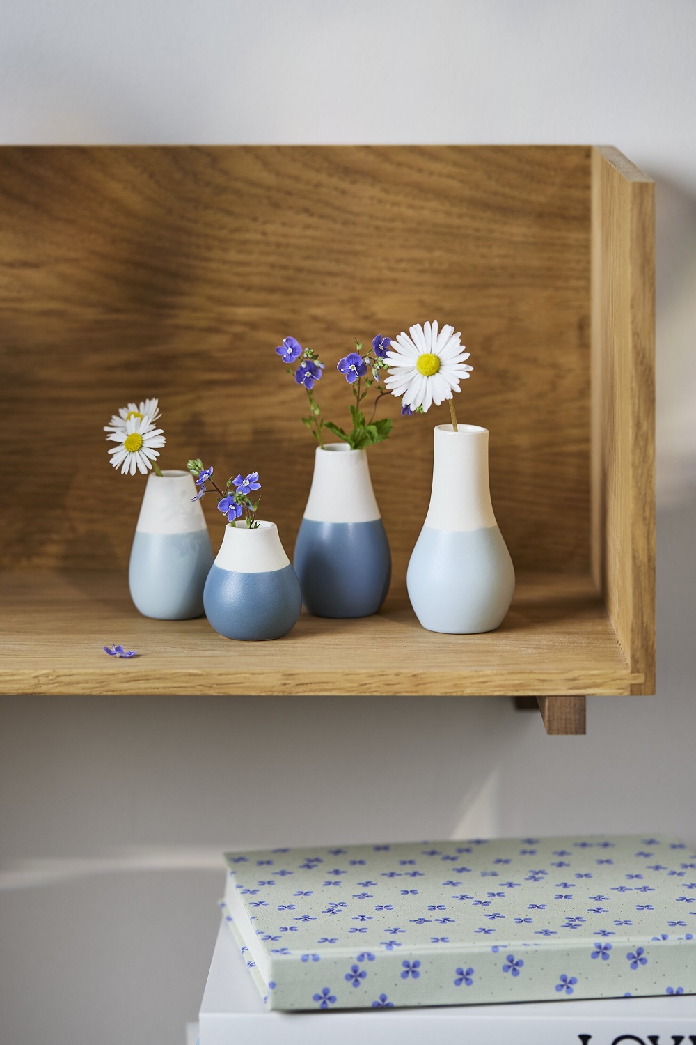 vase, vases, keramik, blau, gänseblümchen