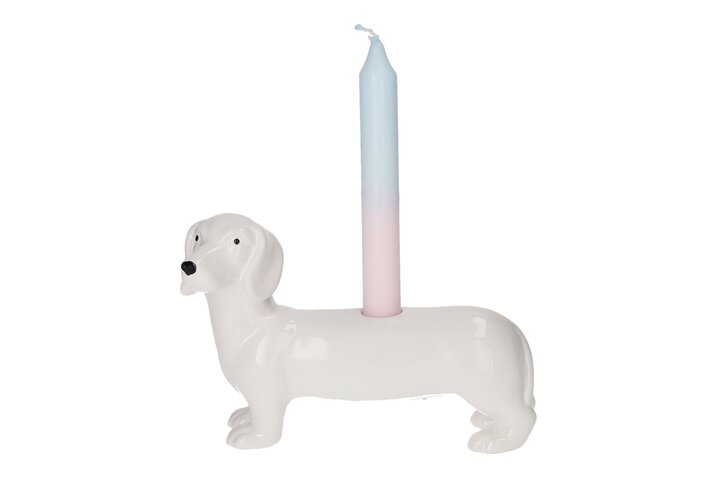 Kerze, Hund, Säugetier, Haustier