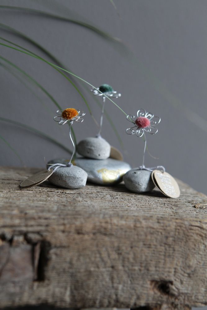 Blume, Blütenblatt, Pflanze, Kieselstein