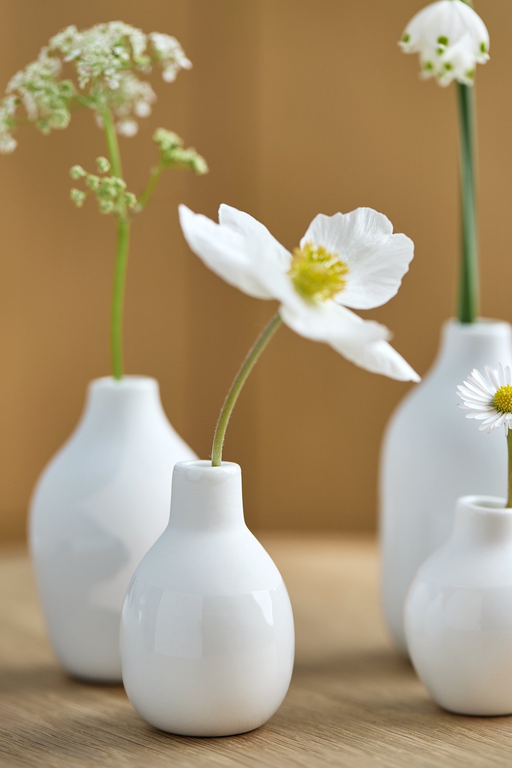 vase, weiß, keramik, blume, minimalistisch