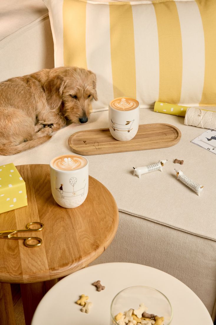 hund, wauwau, sofa, becher, latte