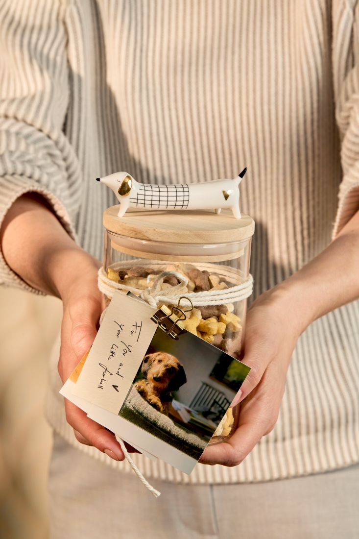 Der dekorative räder Porzellantier-Dackel liebevoll auf einem Geschenk arrangiert