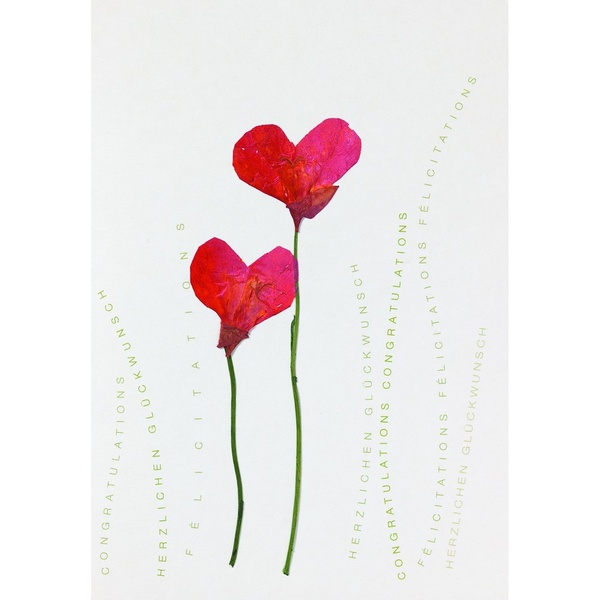 Herzblüten Karte "2 Mohnblumen"