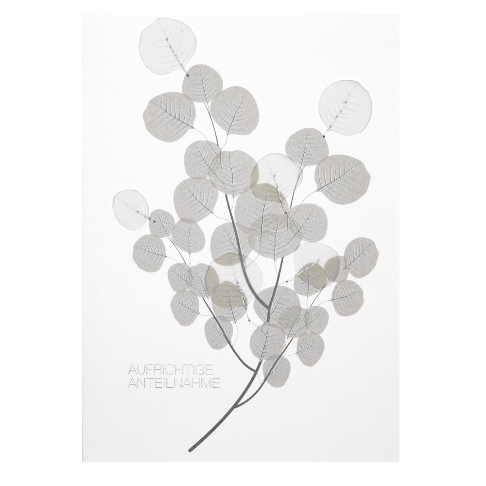 AB63023 Beileidskarte "Aufrichtige Anteilnahme"